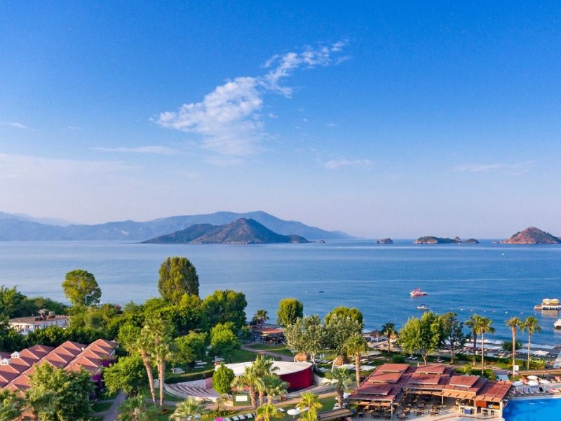 dalış